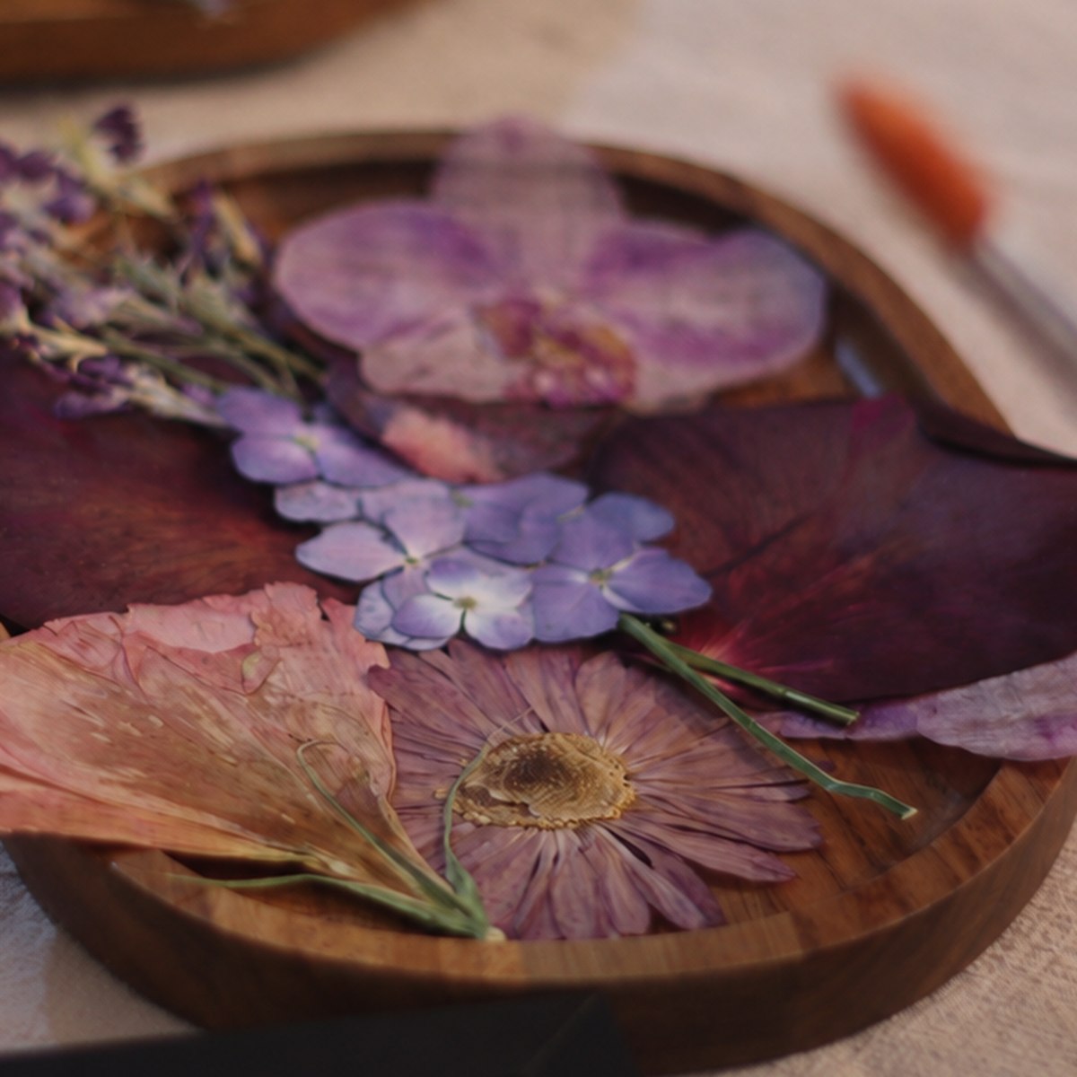 Flores prensadas de tonos rosados sobre papel de algodón