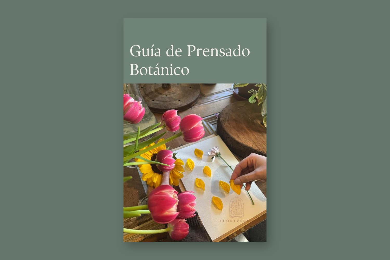 Guía digital de Prensado Botánico