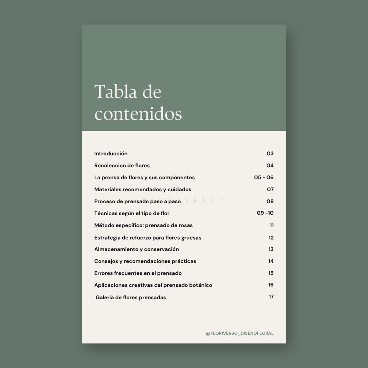 Tabla de contenidos de la Guía de Prensado Botánico: 13 capítulos, de la recolección de flores a la galería de flores prensadas