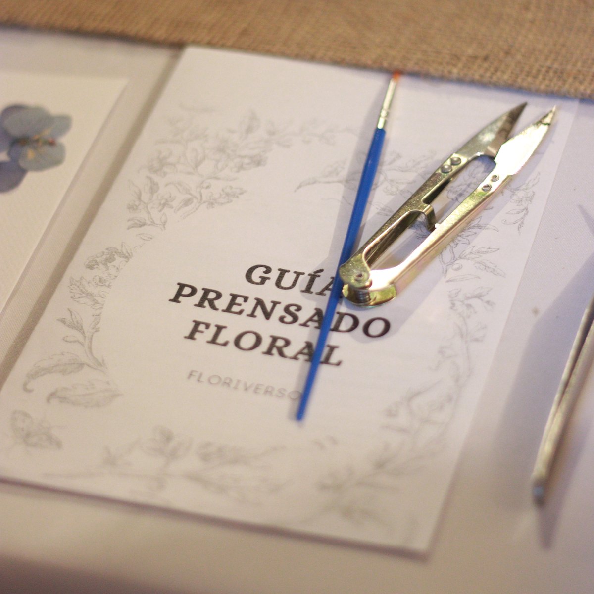 Guía de prensado floral Floriverso con pincel y tijeras de precisión del kit